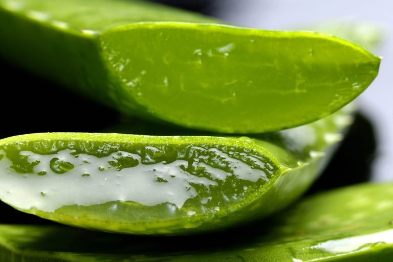 Aloe Vera, ein Geschenk der Natur. Für Ihre Gesundheit. Mit Aloe Vera kann man äußerlich sowohl auch innerlich anwenden, Haut, Haare, Kühlung bei Sonnenbrand und vieles mehr.