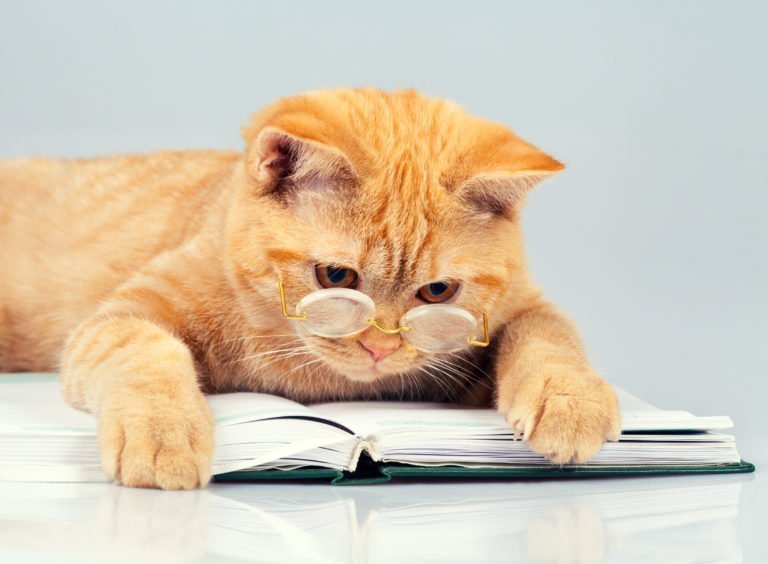 5 wichtige Business-Bücher